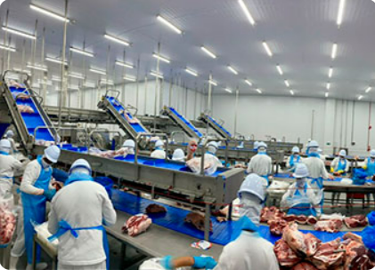 INDUSTRIA FRIGORÍFICA BOA CARNE LTDA factory